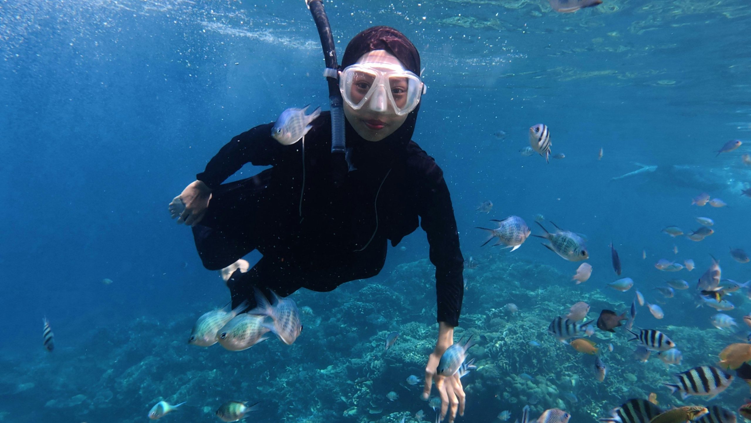 Free stock photo of tourism explore, tourist activity, touristic attraction